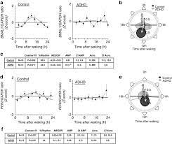Adult Attention Deficit Hyperactivity Disorder Is Associated With Alterations In Circadian Rhythms At The Behavioural Endocrine And Molecular Levels Molecular Psychiatry
