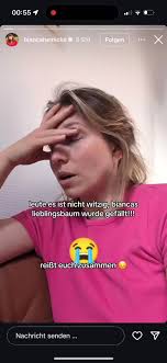 Bianca Heinicke's Favorite Tree Cut Down: A Sad Moment