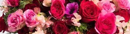 Order flowers safely and securely online from mary murray's flowers. Mary Murray S Flowers Tulsa Ok Alignable