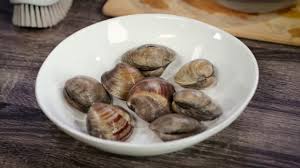How to clean soft shell clams. How To Clean Clams Youtube