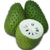 Custard apple tree, or annona squamosa, is a deciduous fruit tree in the annona family and is native to the west indies and was brought to central america and southern mexico. 1