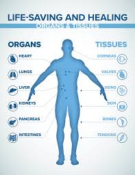 Image result for Tissue Donation