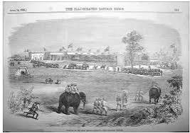 PDF) Engines vs. Elephants – Train Tales of India's Modernity