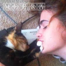 Louisiana guaranteed Petition to Annul