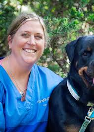 Our Team Meet Our Team