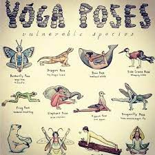 Click on the photos to go to the original source and learn about their license. Yoga Poses With Animal Names Yoga Divine Creation Facebook