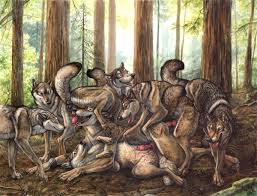 Wolf pack porn