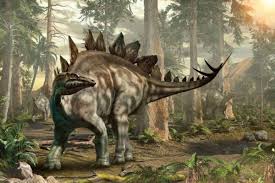 Meski dia dino yang jahat namun secara tampilan justru tampak menggemaskan sendiri. 6 Fakta Unik Stegosaurus Dinosaurus Besar Berotak Kecil