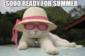 Bildresultat för summer funny pics