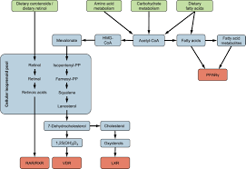 We did not find results for: The Role Of Lipid Activated Nuclear Receptors In Shaping Macrophage And Dendritic Cell Function From Physiology To Pathology Journal Of Allergy And Clinical Immunology