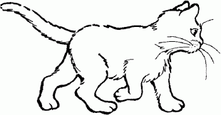 Ausmalbilder Gratis Katzen Malvorlagen Ausmalbilder Katzen Katze Zum Ausmalen