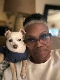 Introduction of pet chihuahuas