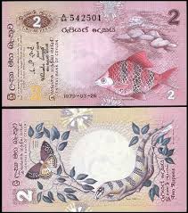 World Currency Paper Money Collectors Currency Design Bank Notes Money Notes