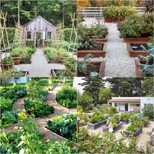 7' 11 x 3' 11 garden type: Vegetable Garden Layout 7 Best Design Secrets A Piece Of Rainbow