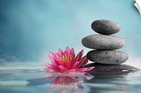 Spa Still Life With Water Lily And Zen Stone In A Serenity Pool In 2021 Zen Pictures Zen Water Lily