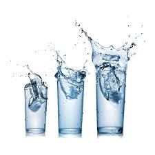 At around 8 weeks, puppies should have all of their baby teeth and will be able to start. How To Calculate How Much Water You Should Drink A Day Slender Kitchen