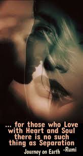 Quotes Love Soulmate Passion Soul Mates 67 Super Ideas Rumi Love Quotes Rumi Quotes Rumi Love