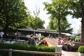 Albert Einstein Rosengarten Bern Switzerland Picture Of Botanical Garden Botanischer Garten Bern Tripadvisor