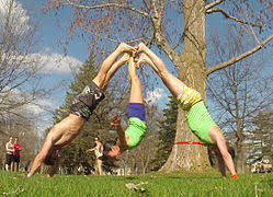 Image result for 3 people yoga poses. Acroyoga Wikipedia