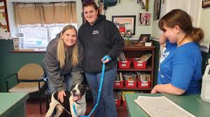 Look who just found a...