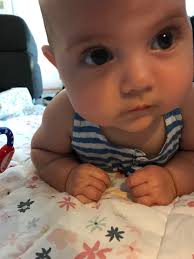 2018 MLB Mock Draft « The Baseball Draft Report