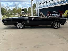 Image result for Starlight Black 1967 GTO