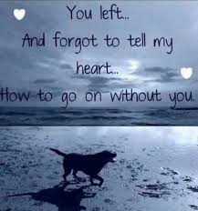 Pin By Jacki Wincek On Animal Lover Quotes Pet Grief Dog Poems Pet Loss Grief
