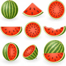 Watermelon Free Vector Download 201 Free Vector For Commercial Use Format Ai Eps Cdr Svg Vector Illustration Graphic Art Design Polish your personal project or design with these watermelon transparent png images, make it even more personalized and more attractive. watermelon free vector download 201