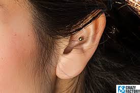 15 pcs cartilage earrings helix trague conch ear piercing for women cartilage stud hoop earrings stainless steel body piercing jewelry. Conch Piercing Inner Conch Outer Conch Crazywiki