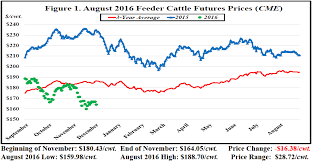 november florida cattle market price watch panhandle