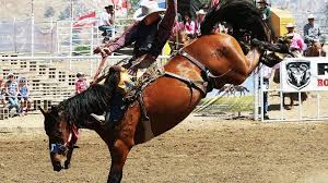 Bronc Riders group keeps Fresno State students in rodeo ring and in class