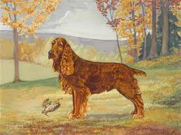 Choose cute english cocker spaniel puppies , back english cocker spaniel puppies, burf english cocker spaniel puppies or red english cocker spaniel puppies at ecs puppies home. Enno Meyer Red English Cocker Spaniel With Woodcock Mutualart