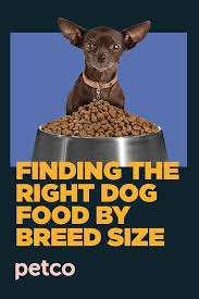 Does Size Matter When It Comes To Your Dog S Food Small Breed Dog Food Best Dog Food Dog Food Recipes