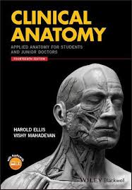 Human anatomy exposes the structures of the body and pursue their related disposition by dissections. 14 Best Anatomy And Physiology Books Anatomy Textbooks Bioexplorer