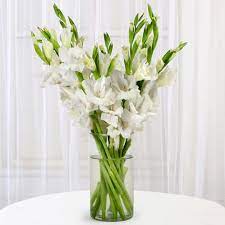 Buy Send Gladiolus Flowers Arrangement In Glass Vase Online With Ferns N Petals Order Online Gl Gladiolus Flower Flower Arrangements Diy Flower Arrangements