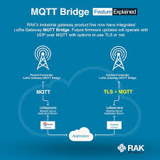 RAK's industrial 🏭 Gateway product line now have #integrated #LoRa  #Gateway #MQTT Bridge. | Systems integrator, Iot, Firmware