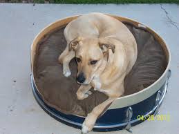 Brians Design Studio Dog Home Decor Dog House Dog Bed