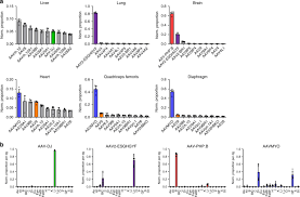 Image result for Gold 1996 AAV