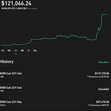 This has got to make tesla ceo elon musk happy: Ein Amateur Trader Erklart Seinen Enormen Gewinn Mit Tesla Aktien Business Insider