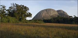 Image result for Isoglossa milanjiensis