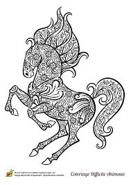 Epingle Par Barbara Sur Coloring Horse Zebra Coloriage Cheval Coloriage Mandala Mandala Animaux