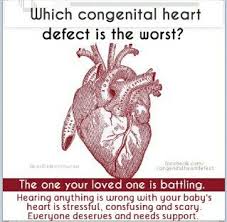 Pin By Nicole F On Chd Awareness Congenital Heart Heart Defect Heart Disease Awareness