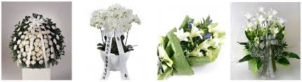 Maybe you would like to learn more about one of these? The 6 Best Options For Funeral Flowers In Tokyo And Japan 2021