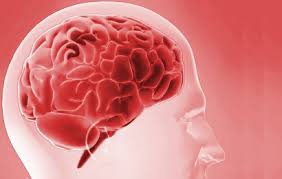 Check spelling or type a new query. Prolactinoma