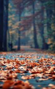 Legends Of The Fall Chateau Des Reves Fall Wallpaper Autumn Photography Fall Pictures