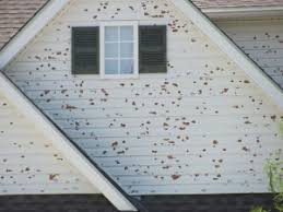 If you are trying to remove mold or mildew from your. Siding Repair Costs And Considerations Siding Cost Calculator