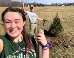 Thorp's Woodworking and Trees