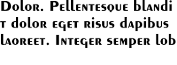 Font Peignot Bold - download font