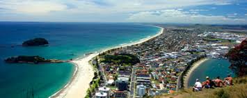 tauranga airport car rental apex tauranga airport