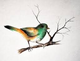 Small Bird 2 Original Coloured Pencil Drawing 5 5 X 8 Inch Etsy Bird Drawings Color Pencil Sketch Pencil Drawings